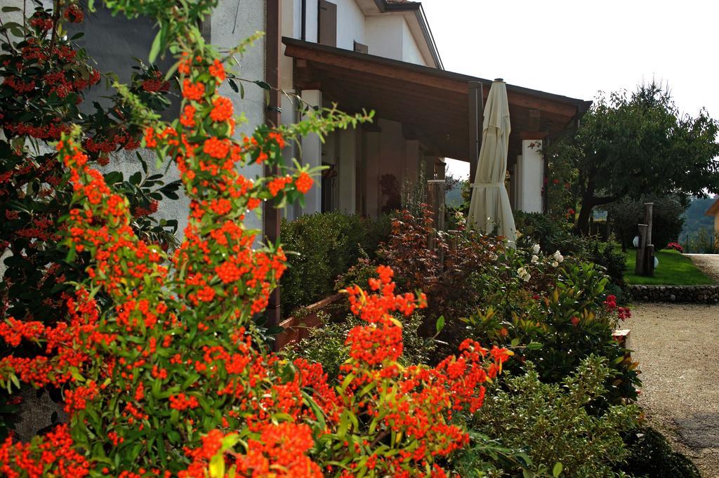Villa La Staccionata Arpino Exterior foto